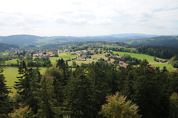 Wanderungen im Nationalpark Bayerischer Wald